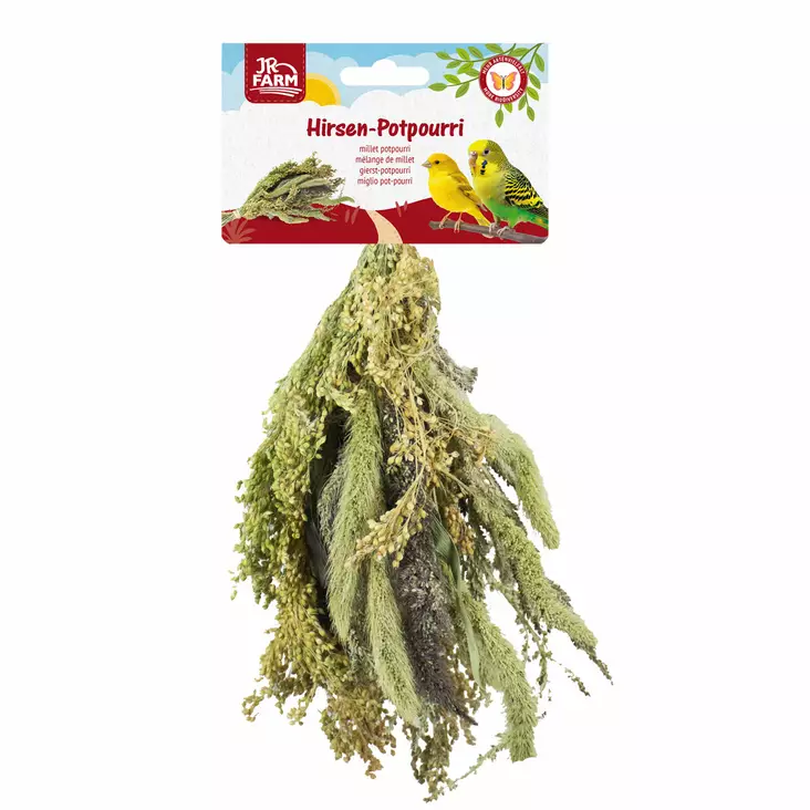 Jr. Farm Millet Potpourri - Fågelmat och godsaker - 4024344178269 - 1