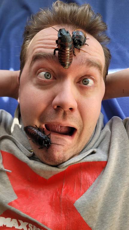 Schaben-Therapie - Tierbezogene Artikel - TORAKKATERAPIA - 4