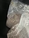 RIKKISÄKKI Frank’s Power 20kg - Franks Pro Gold Dry Dog Food - FRANKSRIKKI - 2
