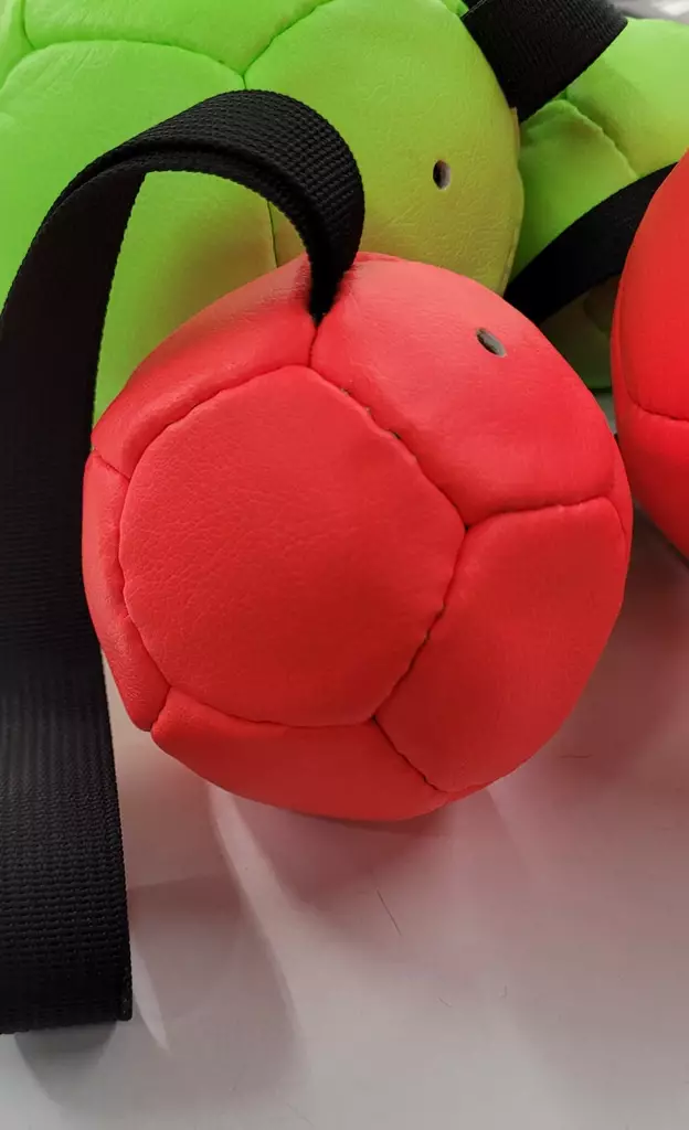 Boys Of Good Paw - Air-Filled Training Ball Toy - Dog Training Toys - BOGNPII - 1