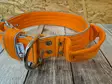 El Perro Reflective Handle Collar 5 cm - Dog Lockable Fabric Collars - PERRO555M - 3