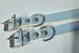 Sininen panta 50cm - Dog Leather Collars - PANTASINM - 1