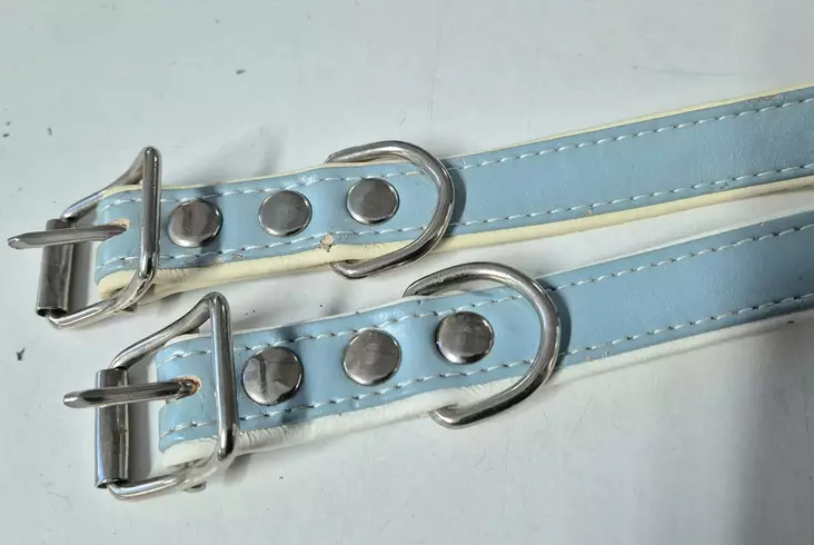 Sininen panta 50cm - Dog Leather Collars - PANTASINM - 1