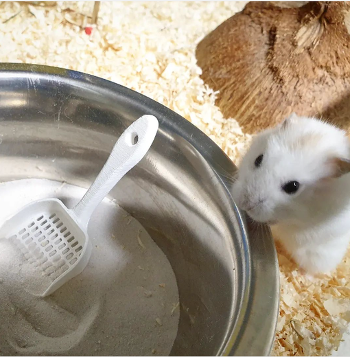 Small Rodent Sand Scoop - Rabbit and Rodent Care Supplies - MINILAPIO - 1