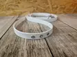 Biothane Decorative Show Lead - Dog Show Leads - BIOTHANEKNTV - 4