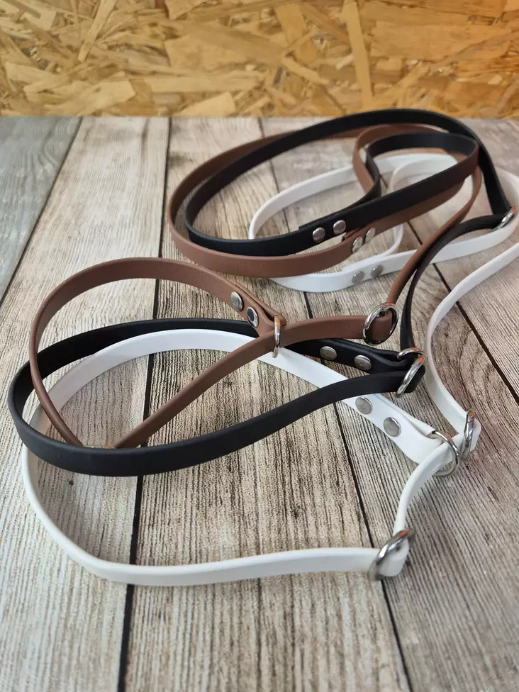 Biothane Show Lead - Dog Show Leads - BIOTHANENTV - 1