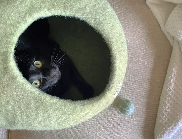 Mishum Lacova Green Cat Cave Bed - Cat Beds - LACOVAV - 1